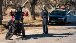 Hot 4K porn - Protecting and Pleasuring for free on TREXPORN.NET