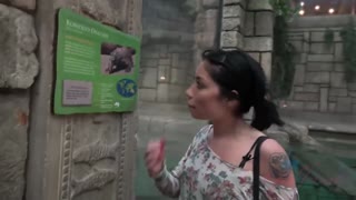 Hot 4K porn - Brunette Rina Ellis Teases You in Shower - Vegas Hookup for free on TREXPORN.NET