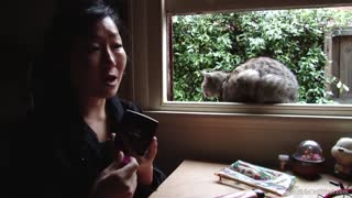 Hot 4K porn - Saki's Hot Casting Interview Before the Shoot for free on TREXPORN.NET