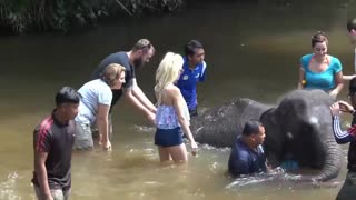 Free 4K porn with Blonde GF Elsa Jean takes big cock creampie POV only on TREXPORN.NET