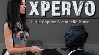 Free 4K porn with Femdom Fantasy - LittleCaprice in Pantyhose Ties Up & Rides Big Cock only on TREXPORN.NET