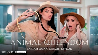 Free 4K porn with  Kenzie Taylor's Animal Kingdom  only on TREXPORN.NET