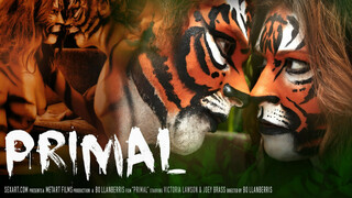 Hot 4K porn - Curly Girl Sucks and Licks for free on TREXPORN.NET