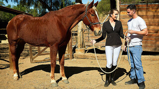 Hot 4K porn - Hot Mom Brett Rossi Sucks Seth Gamble's Cock for free on TREXPORN.NET